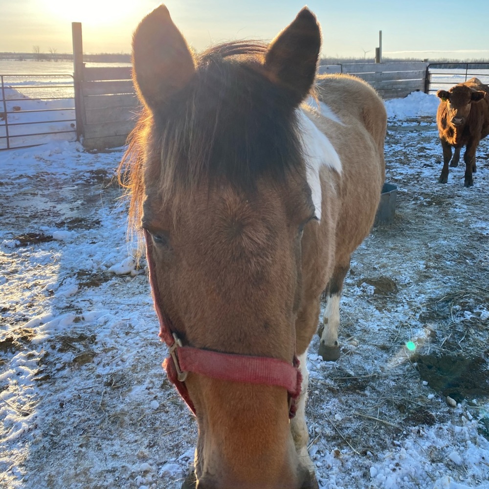 Meet your Posher, Lexi